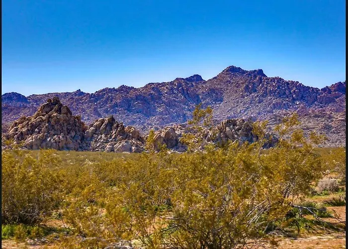 Breathtaking Roadrunner Heights